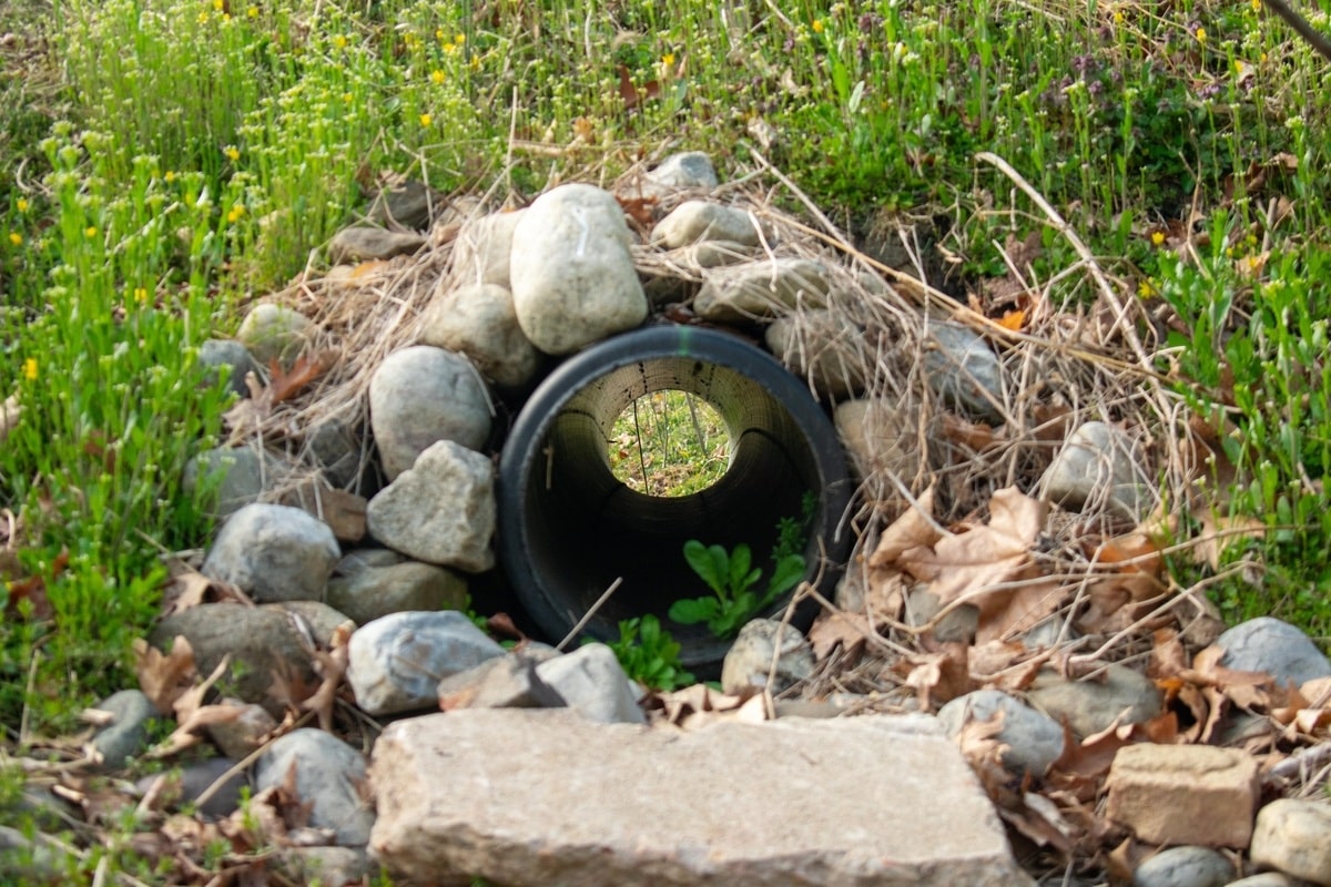 french drain